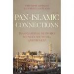 Pan Islamic Connections - Christophe Jaffrelot, Laurence Louer