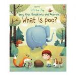 What is Poo? (Potty Training) - Katie Daynes