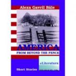 America from Beyond the Fence - Alexa Gavril Bale