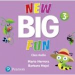 Big Fun Refresh Level 3 Class Audio
