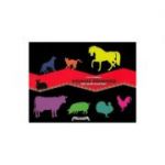 Animale domestice. Mic ghid ilustrat - Laura Radulescu