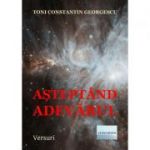 Asteptand adevarul - Toni Constantin Georgescu