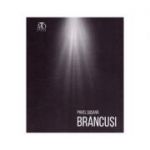 Brancusi - Pavel Susara