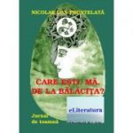 Care esti, ma, de la Balacita? Jurnal de toamna - Nicolae Dan Fruntelata