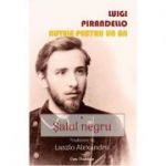 Salul negru. Nuvele pentru un an Vol. 1 - Luigi Pirandello