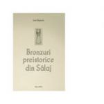 Bronzuri preistorice din Salaj - Ioan Bejinariu