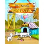 Catelusul