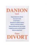 Despre divort - Danion Vasile