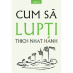 Cum sa lupti - Thich Nhat Hanh