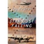 Star Dust Falling. The Story of the Plane That Vanished - Jay Rayner