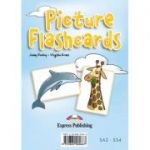 Curs limba engleza Set Sail 4 Picture flashcards - Jenny Dooley, Virginia Evans