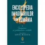 Enciclopedia imaginariilor din Romania. Volumul 5. Imaginar si patrimoniu artistic - Liviu Malita