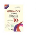Matematica. Culegere de exercitii si probleme pentru clasa a VI-a - Ioan Pelteacu, Elefterie Petrescu