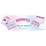 Planse. Matematica, fise de sinteza - 30 planse