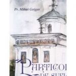 Particole de suflet - Pr. Mihai Gojgar