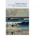 In cautarea timpului pierdut. Swann, La umbra fetelor in floare - Marcel Proust