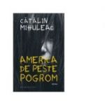 America de peste pogrom - Catalin Mihuleac