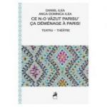 Ce n-o vazut Parisu' - Daniel Ilea, Anca Domnica Ilea