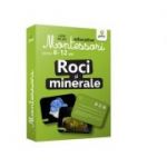 Roci si minerale. Carti de joc educative Montessori 6-12 ani