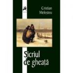 Sicriul de gheata - Cristian Melesteu