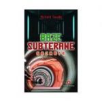 Baze subterane secrete - Richard Sauder