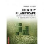 Identity in landscape connectivity and diversity in Iron Age Transylvania - Sándor Berecki