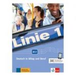 Linie 1 A1. 1, Kurs- und Übungsbuch mit DVD-ROM. Deutsch in Alltag und Beruf - Eva Harst
