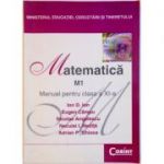 Manual matematica M1 clasa a 11-a - Ion D. Ion