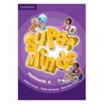 Super Minds Level 6, Flashcards - Herbert Puchta, Gunter Gerngross, Peter Lewis-Jones