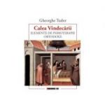 Calea Vindecarii. Elemente de psihoterapie ORTODOXA - Tudor Gheorghe