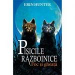 Pisicile Razboinice. Foc si gheata Cartea 2 - Erin Hunter