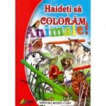 Haideti sa coloram! ANIMALE