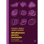 Mindfulness pentru anxietate - Susan M. Orsillo, Lizabeth Roemer