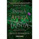 O inima apriga si franta (vol. 2 din seria Distrugatorii de blesteme) - Brigid Kemmerer