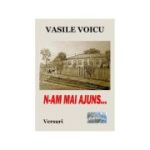 N-am mai ajuns... Versuri - Vasile Voicu