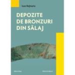 Depozite de bronzuri din Salaj - Ioan Bejinariu