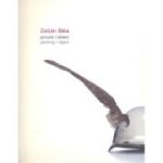 Pictura / Obiect - Painting / Object - Zoltan Bela