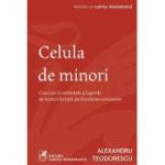 Celula de minori - Alexandru Teodorescu