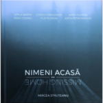 Nimeni acasa - Mircea Struteanu