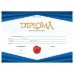 Diploma de excelenta (DZC01)