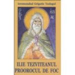 Ilie Tezviteanul, proorocul de foc - Sf. Grigorie de Nazianz (Teologul)