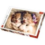 Puzzle pisicute somnoroase cu 500 de piese, Trefl