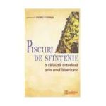 Piscuri de sfintenie. O calauza ortodoxa prin anul bisericesc - Arhim. Andrei Coroian