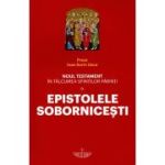 Noul Testament in talcuirea Sfintilor Parinti. Volumul 9. Epistolele Sobornicesti - Ioan Sorin Usca