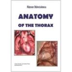 Anatomy of the Thorax - Razvan Stanciulescu