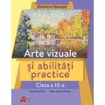 Arte vizuale si abilitati practice, clasa a 3-a. Manual - Ana-Maria Stan