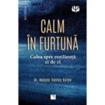 Calm in furtuna. Calea spre rezilienta zi de zi - dr. Robyne Hanley-Dafoe