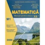 Matematica M1. Manual clasa a 12-a - Ion D. Ion