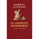 Ce gandeste Dumnezeu? Putina teologie - Gabriel Liiceanu