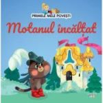 Volumul 9. Primele mele povesti. Motanul incaltat